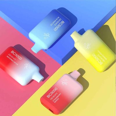 EBCREATE BC5000 disposable vape featuring gradient color design, rechargeable battery, dual mesh coil technology, and assorted fruit ice flavors.